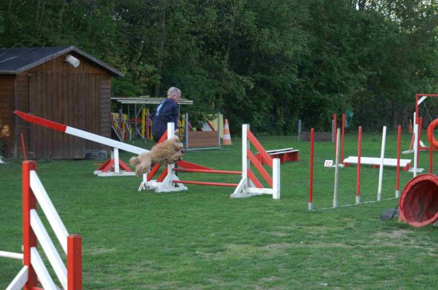 agility 2011-04
